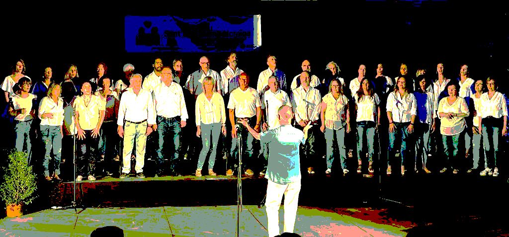 Cor de Gospel Sant Cugat. FOTO: Cedida