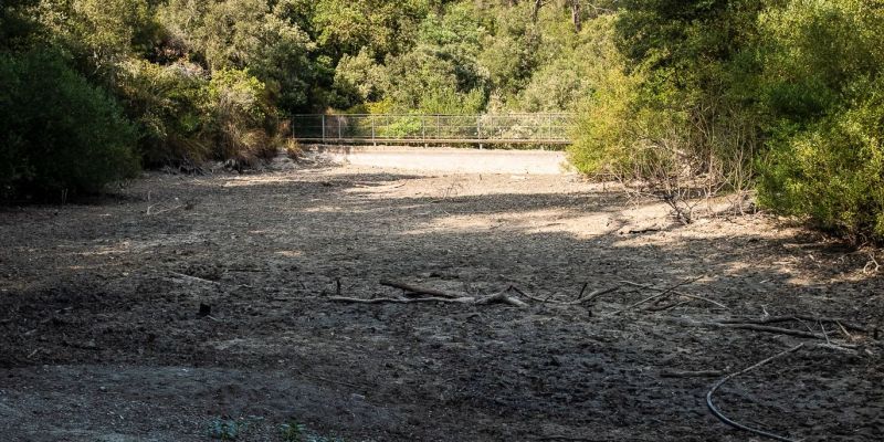 El pantà de Can Borrell es va assecar el mes de juliol. FOTO: Ale Gómez