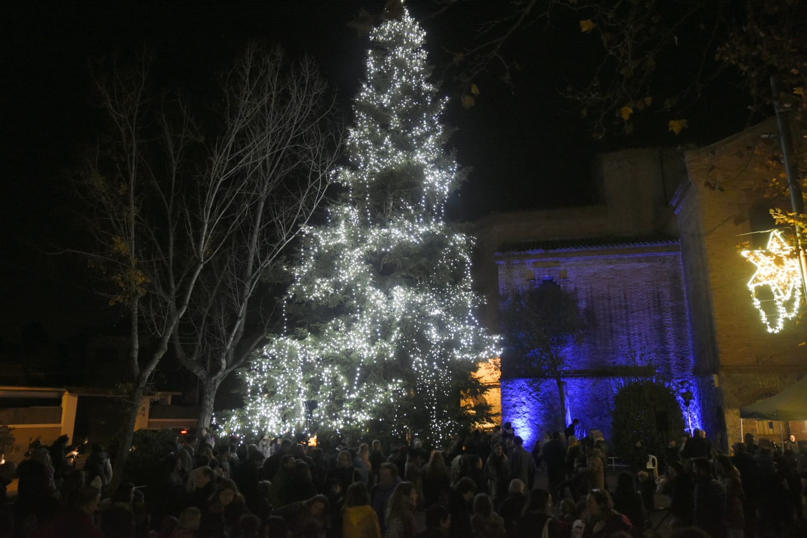 L'encesa de llums de l'arbre de Nadal a Valldoreix. FOTO: Bernat Millet