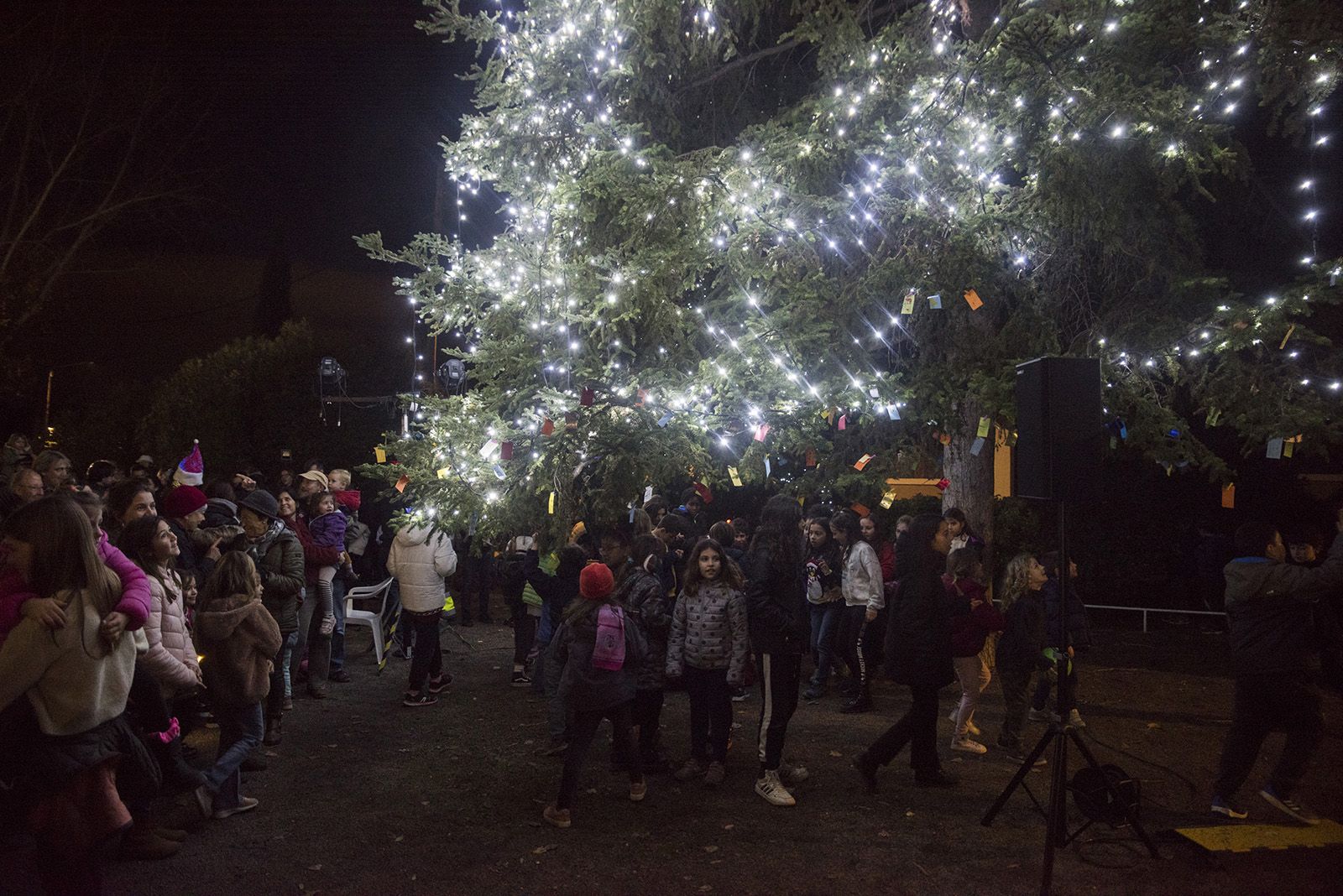 Encesa de l'arbre de Nadal de Valldoreix. FOTO: Bernat Millet.