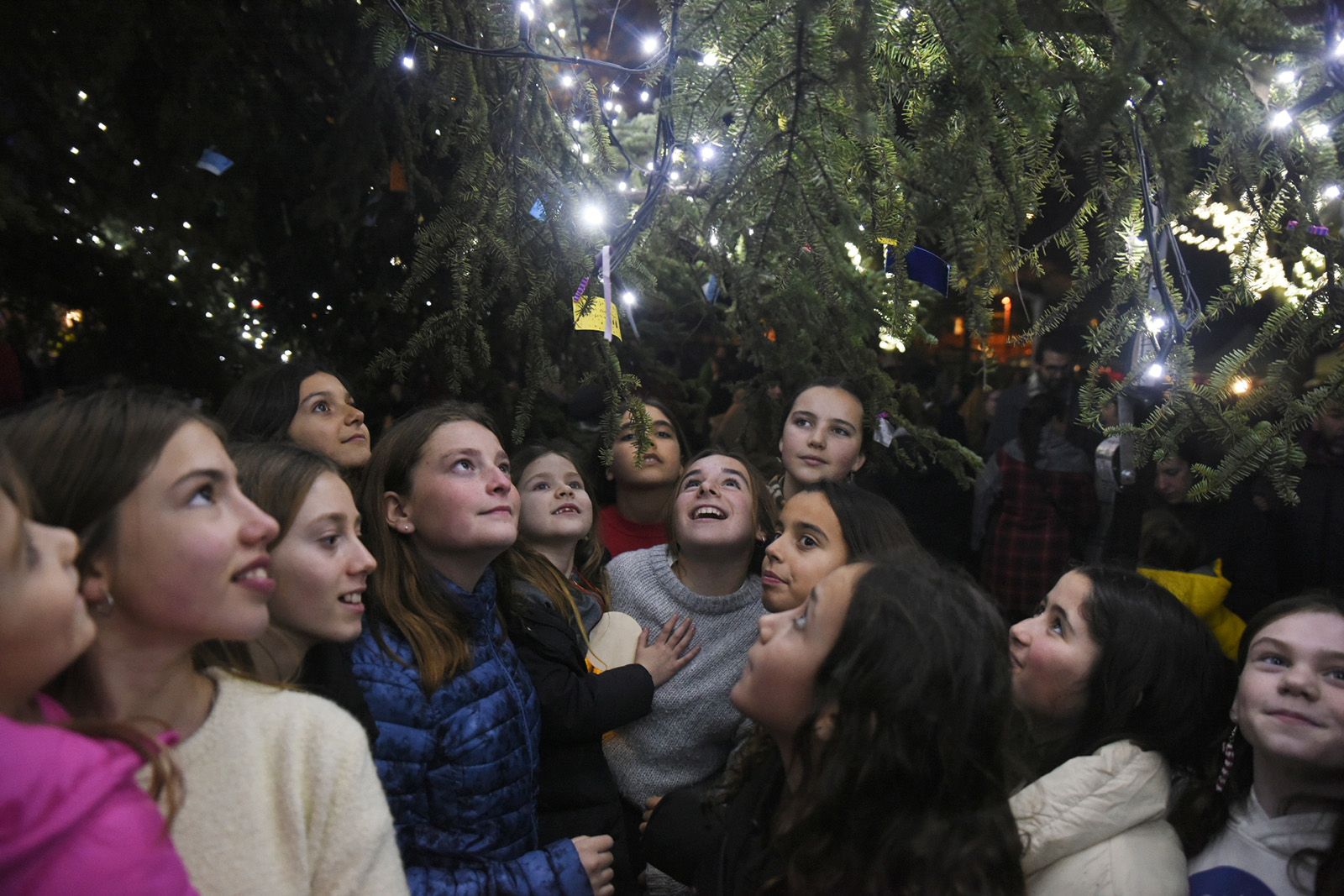 Encesa de l'arbre de Nadal de Valldoreix. FOTO: Bernat Millet.