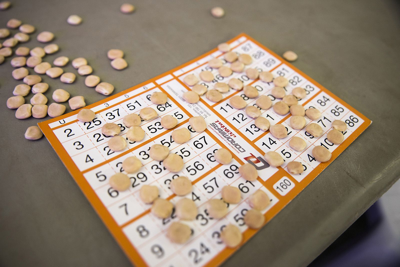 Quinto de Nadal de La Floresta. FOTO: Bernat Millet.