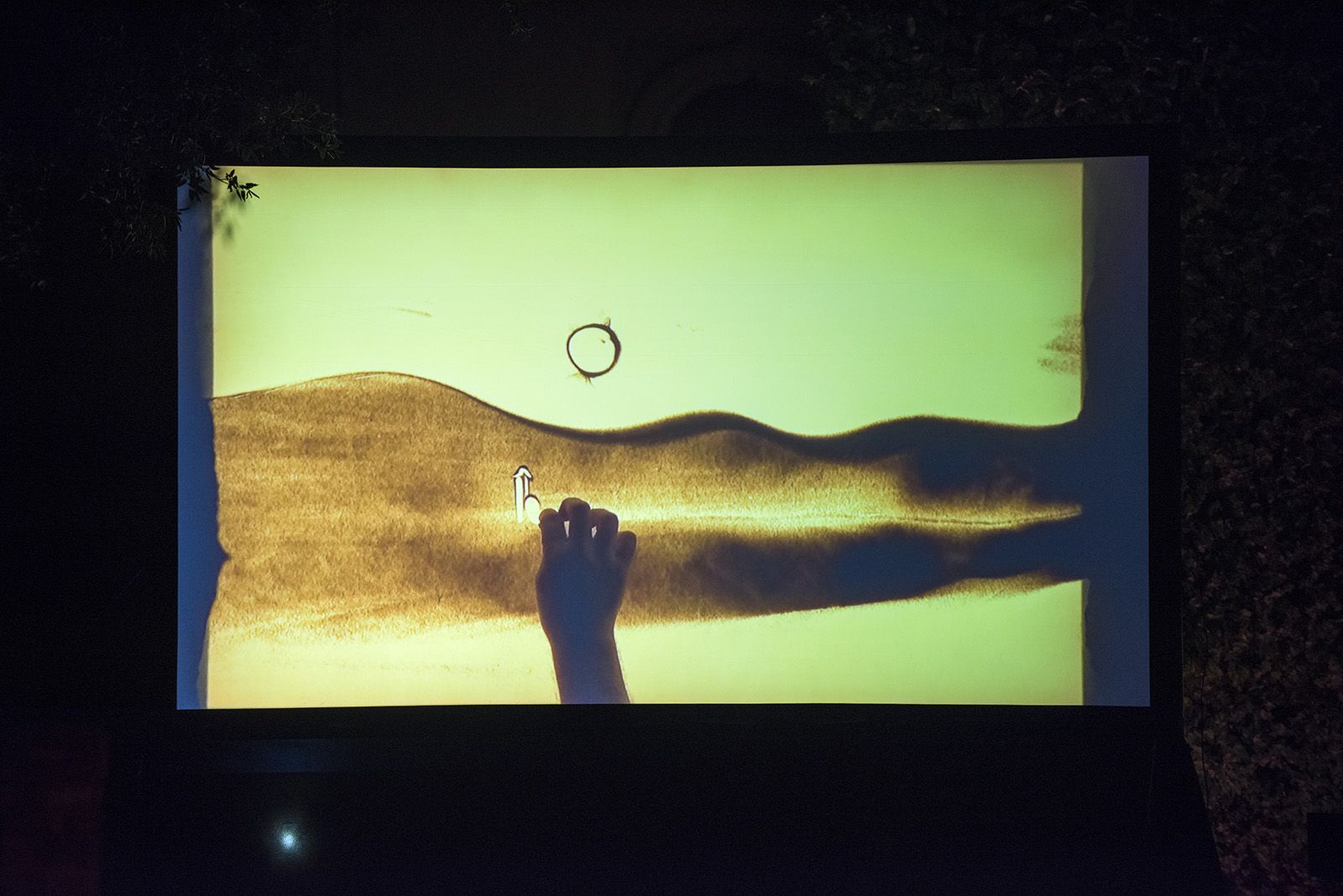 Muxinach i la llum. FOTO: Bernat Millet.