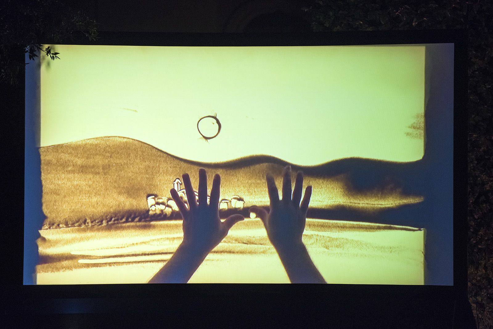 Muxinach i la llum. FOTO: Bernat Millet.