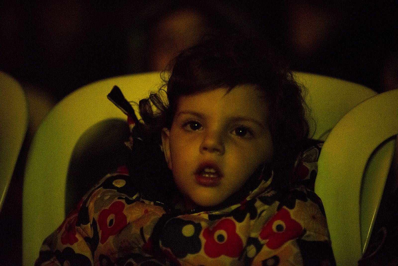 Muxinach i la llum. FOTO: Bernat Millet.