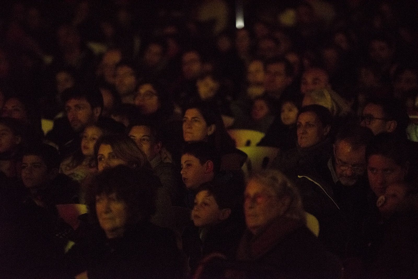 Muxinach i la llum. FOTO: Bernat Millet.