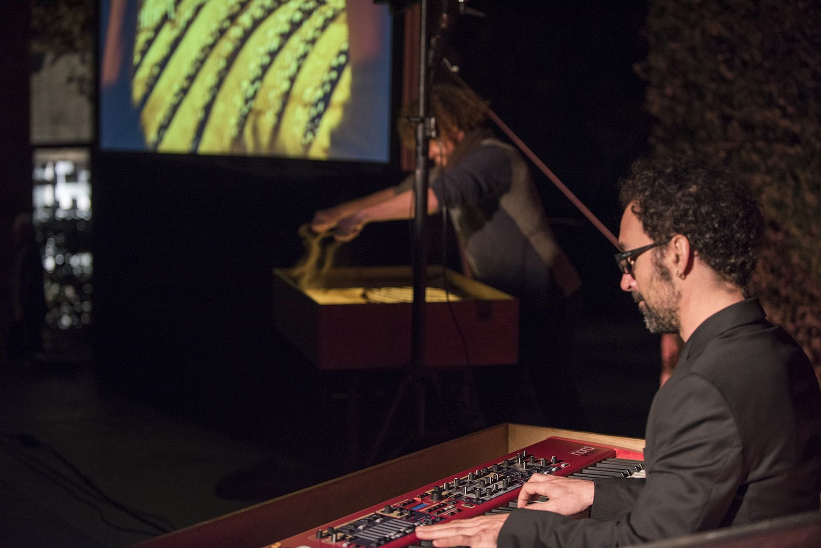 Muxinach i la llum. FOTO: Bernat Millet.