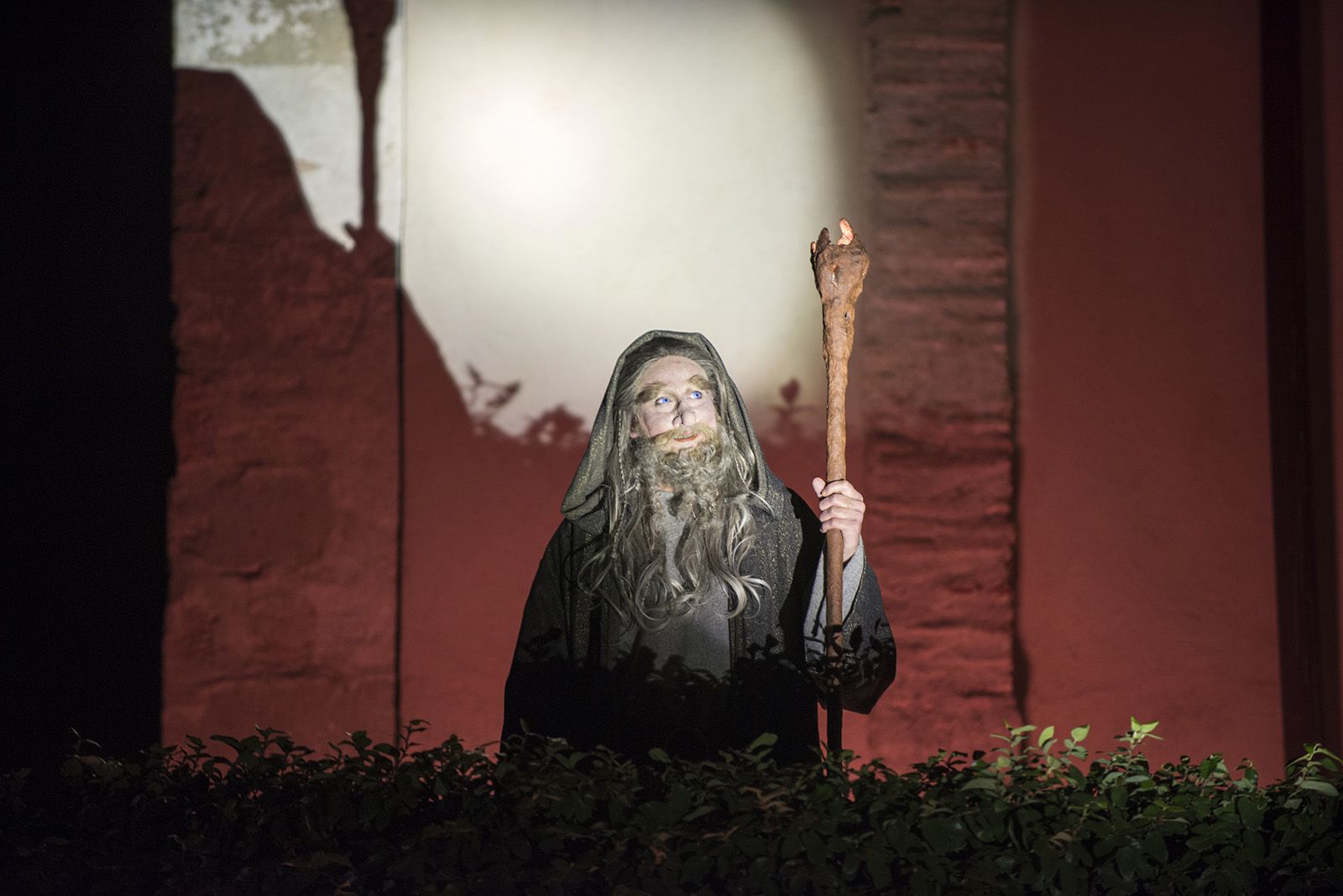 Muxinach i la llum. FOTO: Bernat Millet.