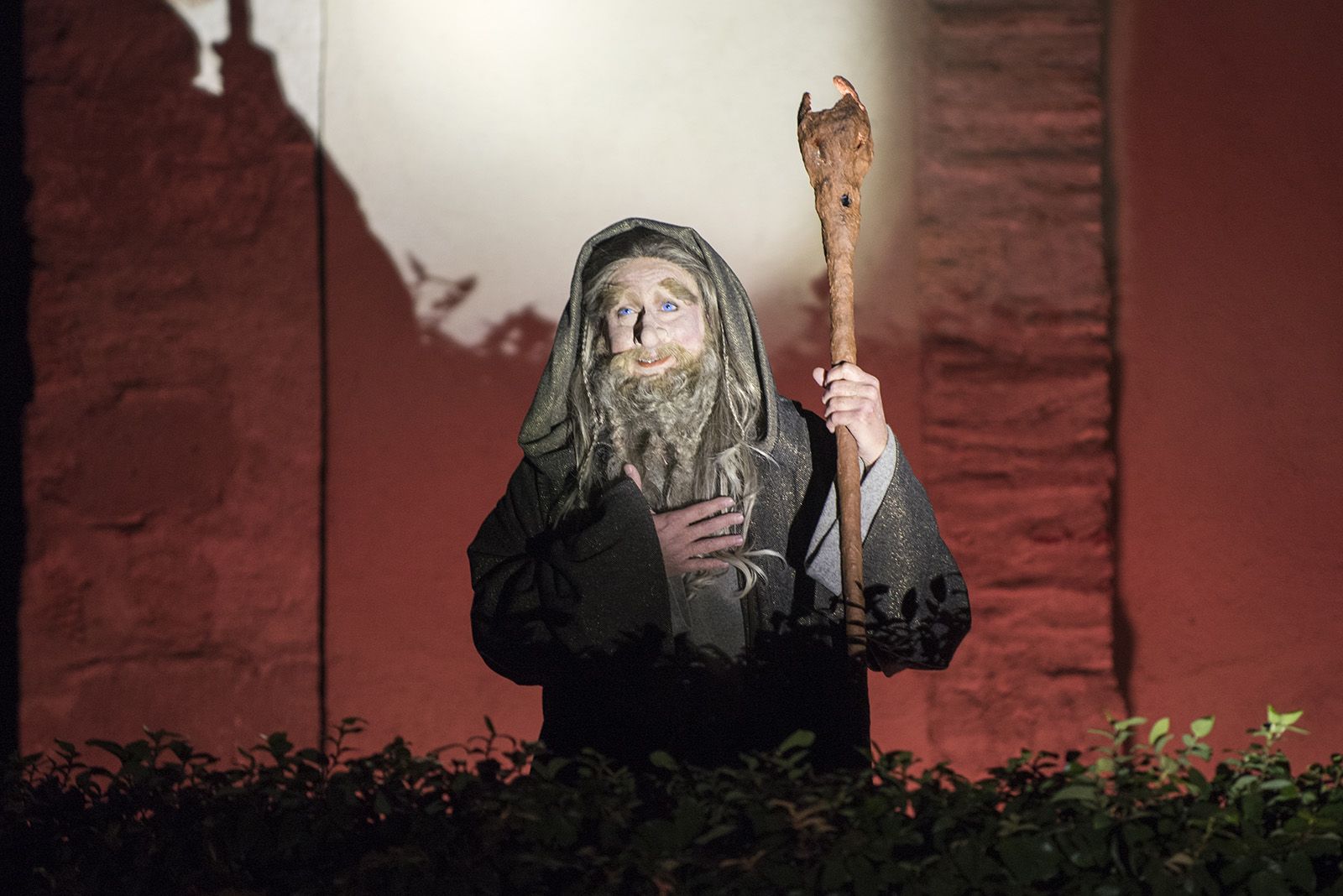 Muxinach i la llum. FOTO: Bernat Millet.