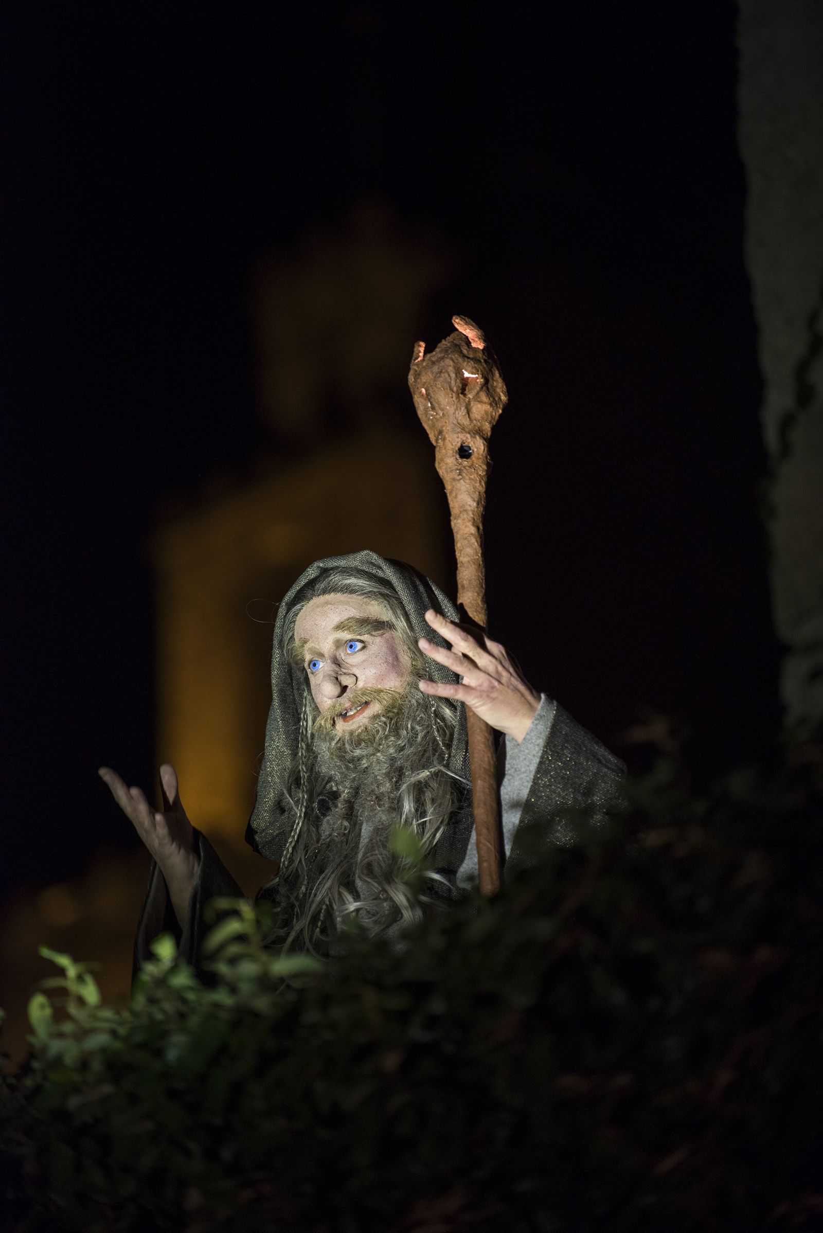 Muxinach i la llum. FOTO: Bernat Millet.