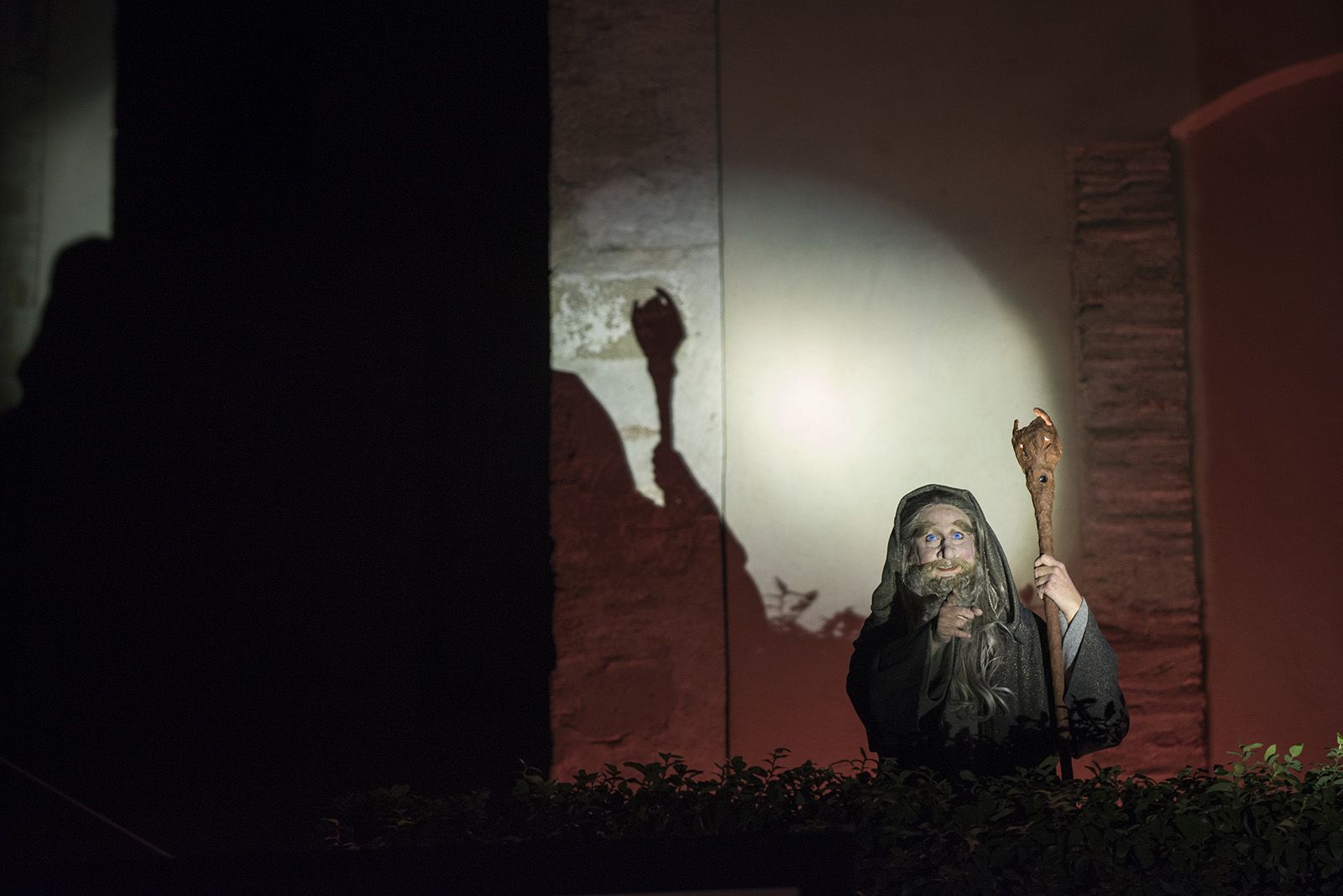 Muxinach i la llum. FOTO: Bernat Millet.