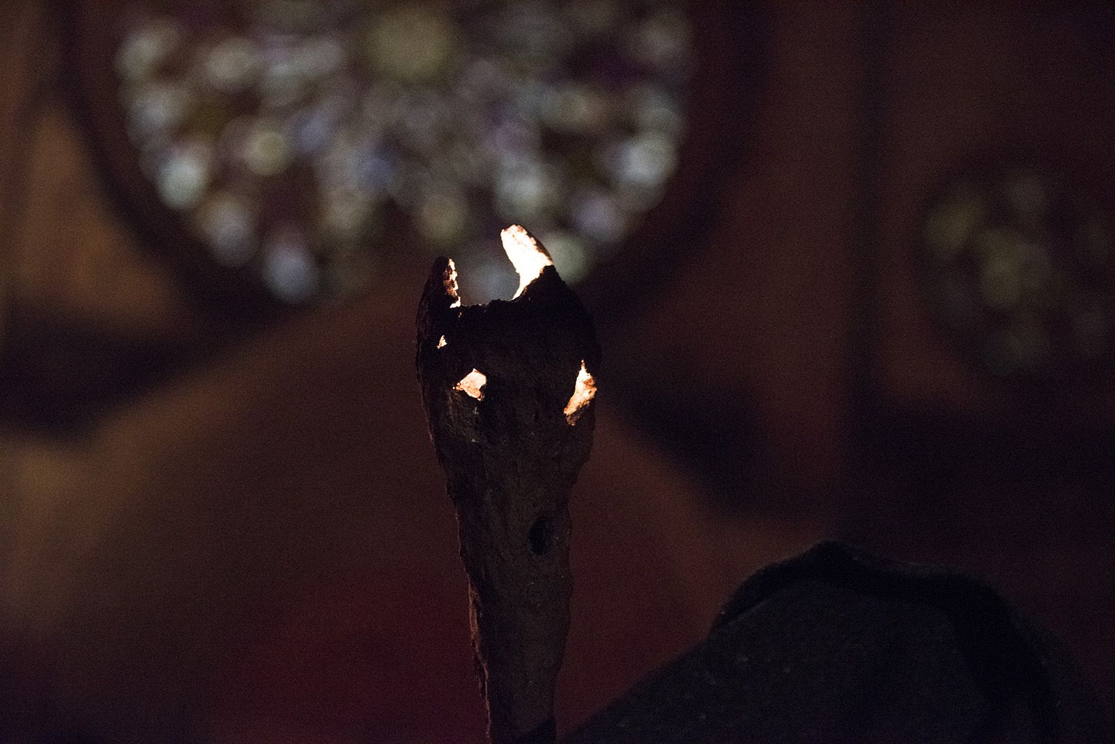 Muxinach i la llum. FOTO: Bernat Millet.