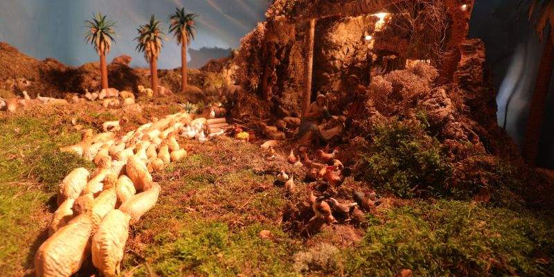 Popular 3r: Premi Rosa Segales