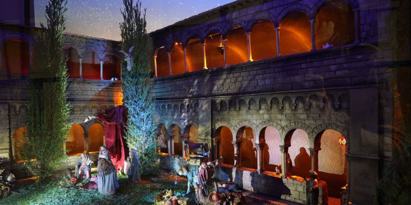 Artistic 1r: Premi Rosa Llunell