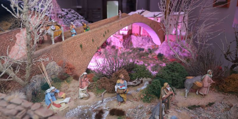 Artistic 2n: Premi Adria Pros