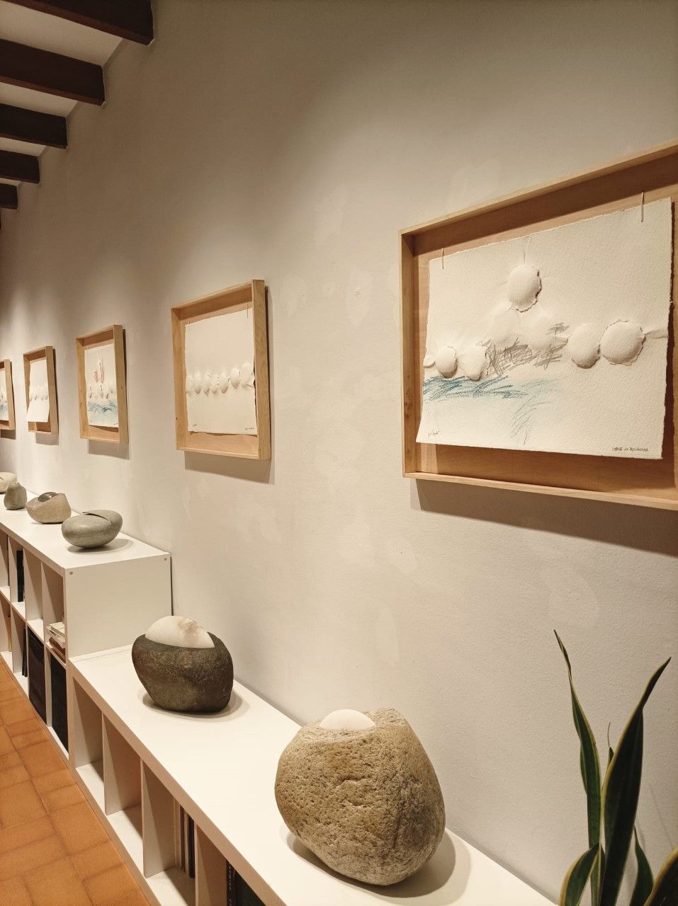 L'exposició a la Canals FOTO: Cedida