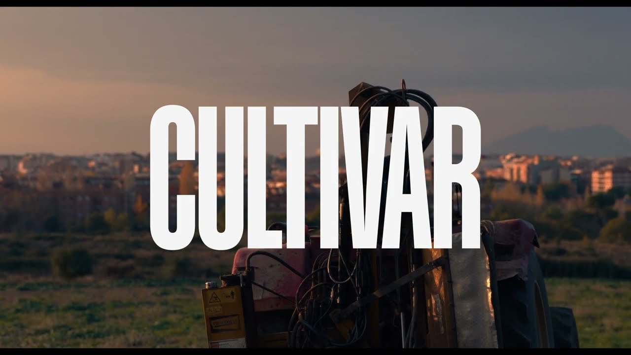 'CULTIVAR' és l'espot dels XV Premis Gaudí, gravat a Sant Cugat.