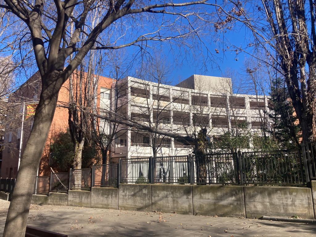 Un arbre trencat per les fortes ventades a la residència Santa Rosa. FOTO: Cedida
