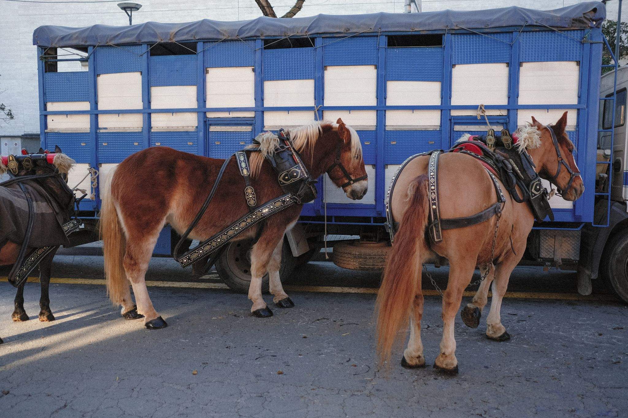 Inici de la Rua del Tres Tombs. FOTO: Ale Gómez
