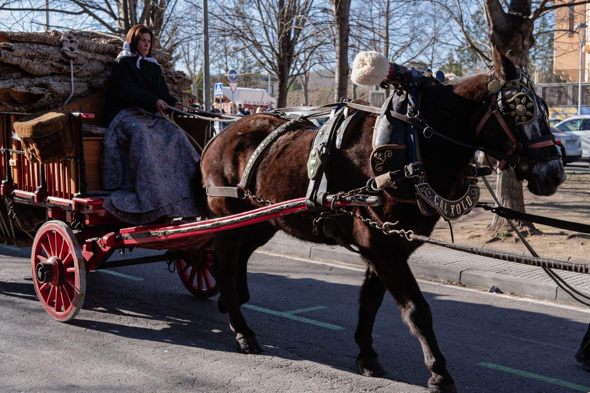  Rua del Tres Tombs 2023. FOTO: Ale Gómez