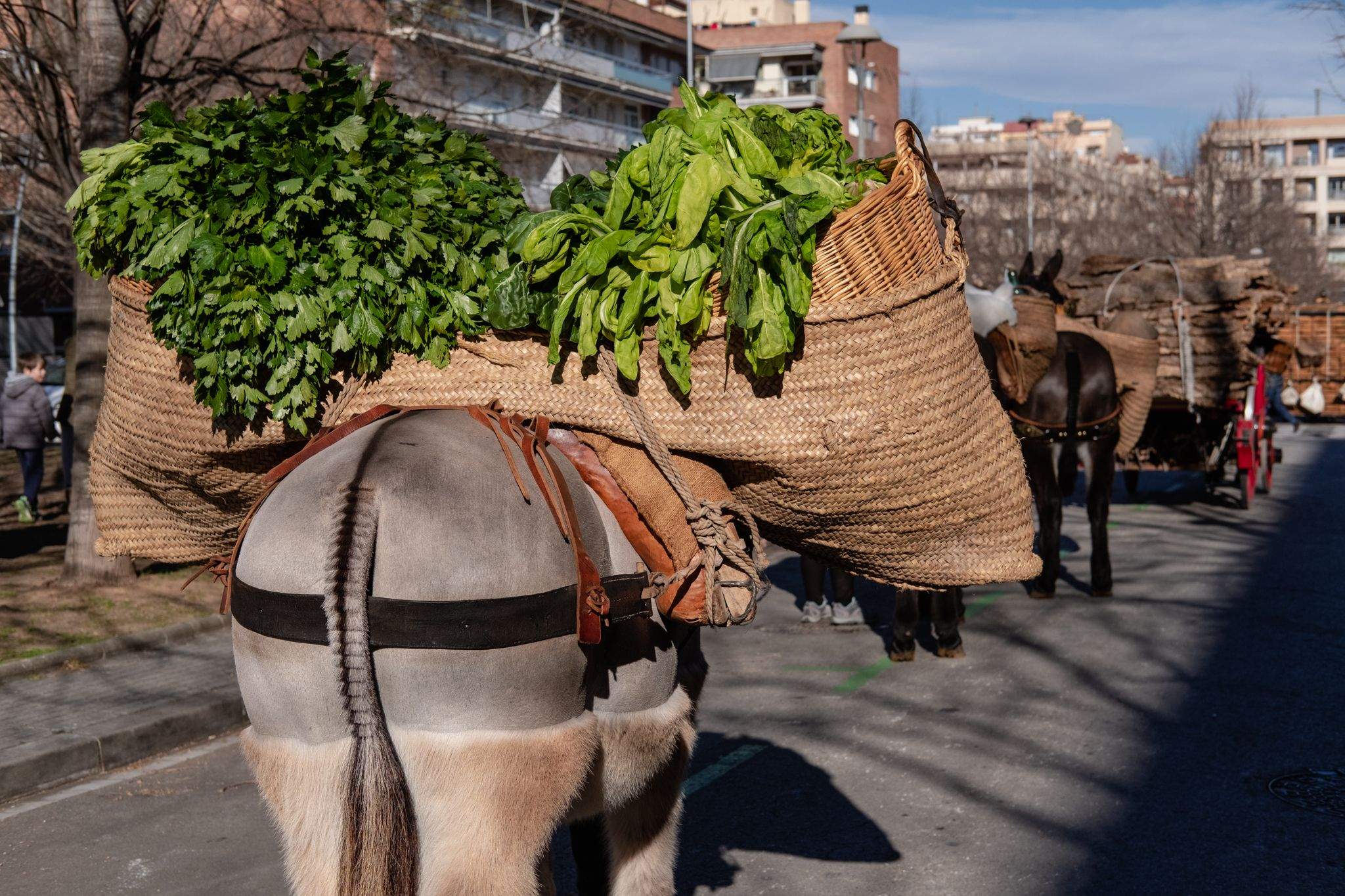  Rua del Tres Tombs 2023. FOTO: Ale Gómez