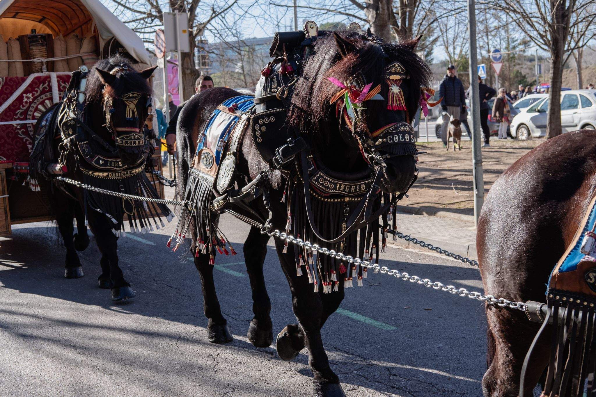  Rua del Tres Tombs 2023. FOTO: Ale Gómez