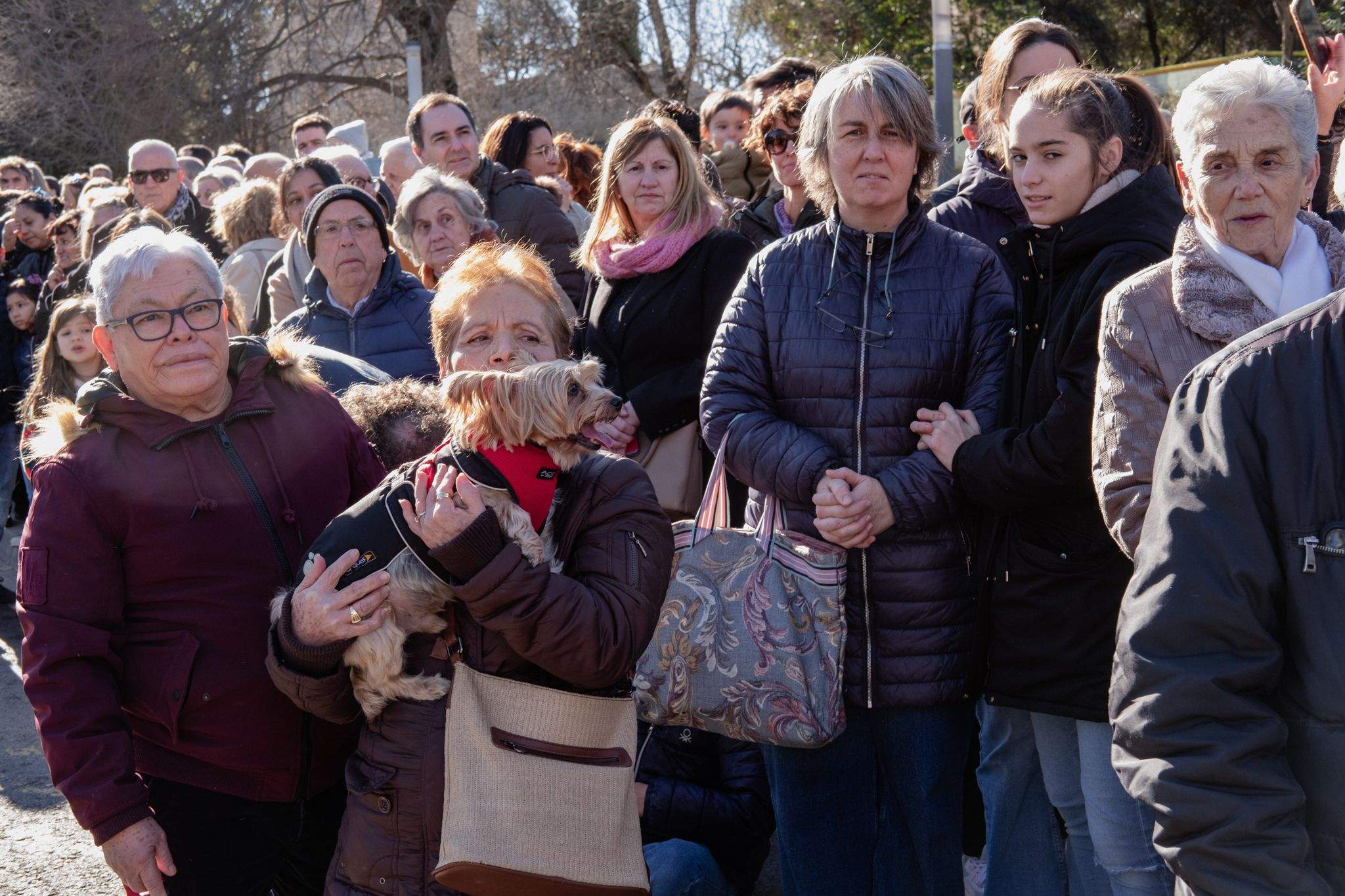 Benedicció de cavalleries al pg. de Francesc Macià. FOTO: Ale Gómez