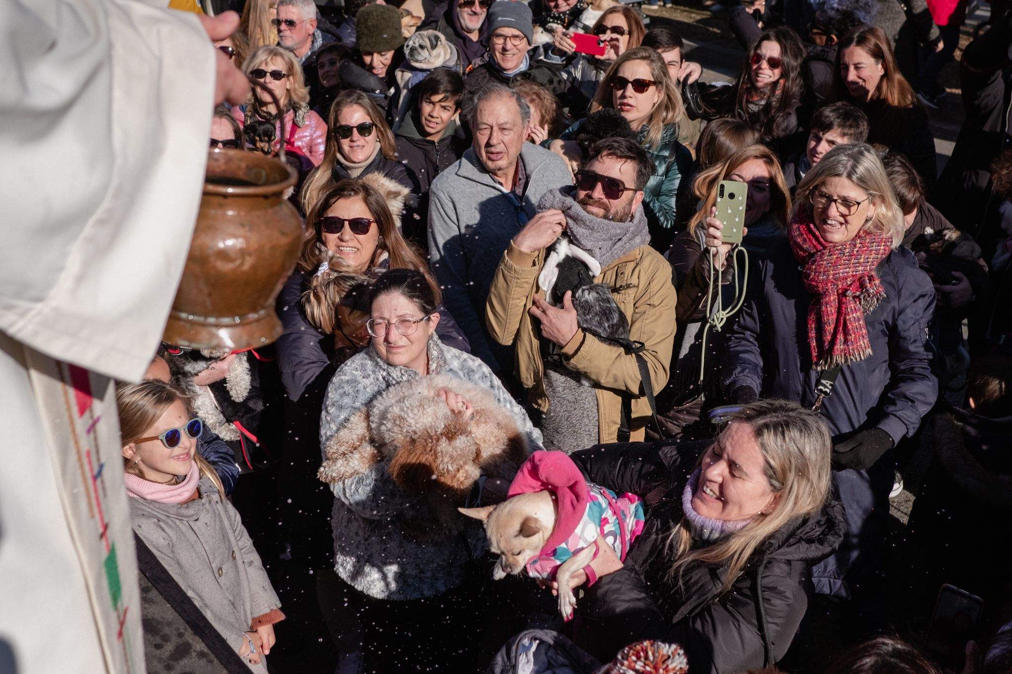Benedicció de cavalleries al pg. de Francesc Macià. FOTO: Ale Gómez