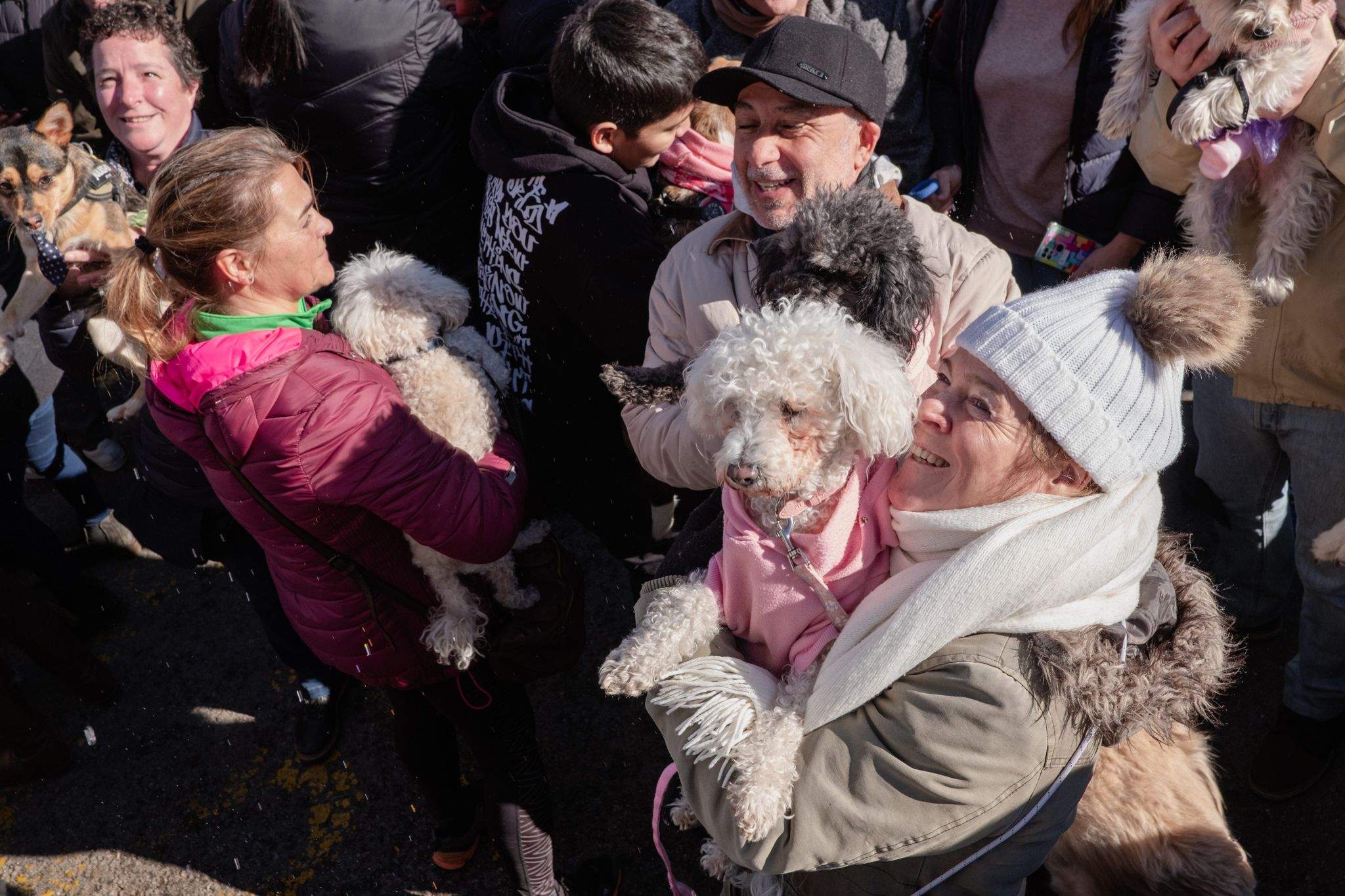 Benedicció de cavalleries al pg. de Francesc Macià. FOTO: Ale Gómez