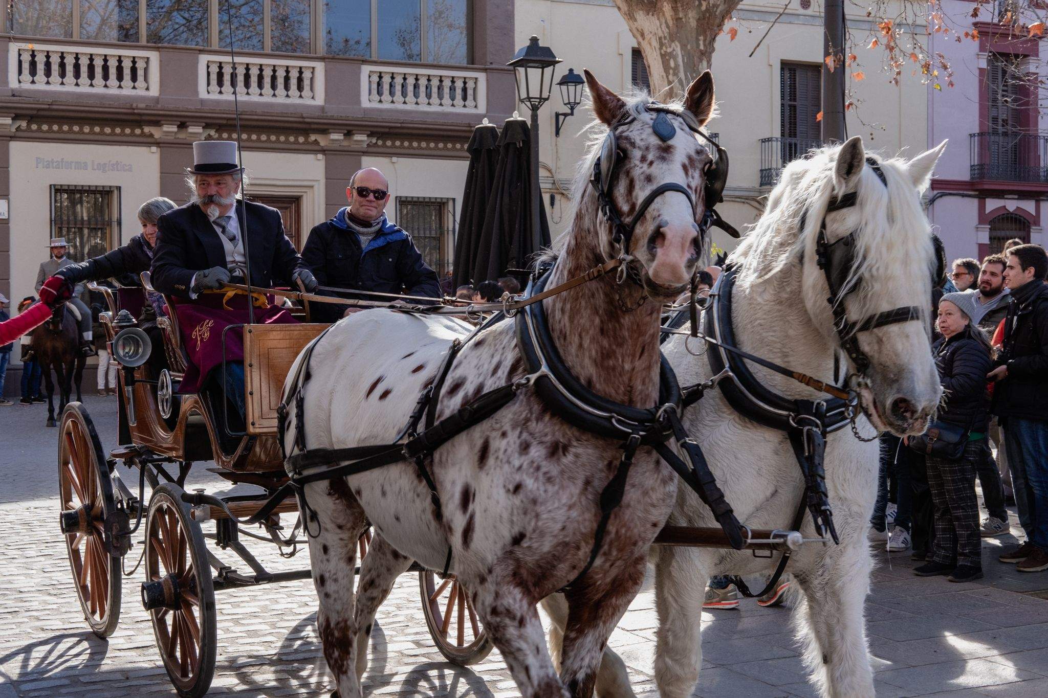 Arribada de la Rua a la pl. de Barcelona i rebuda per part de les autoritats municipals. FOTO: Ale Gómez