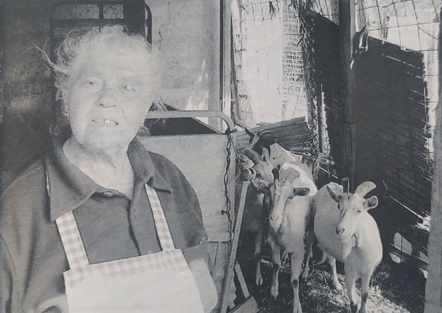 La pastora Nuria Bosch i les seves cabres. FOTO: Xavier Mas de Xaxàs-La Vanguardia