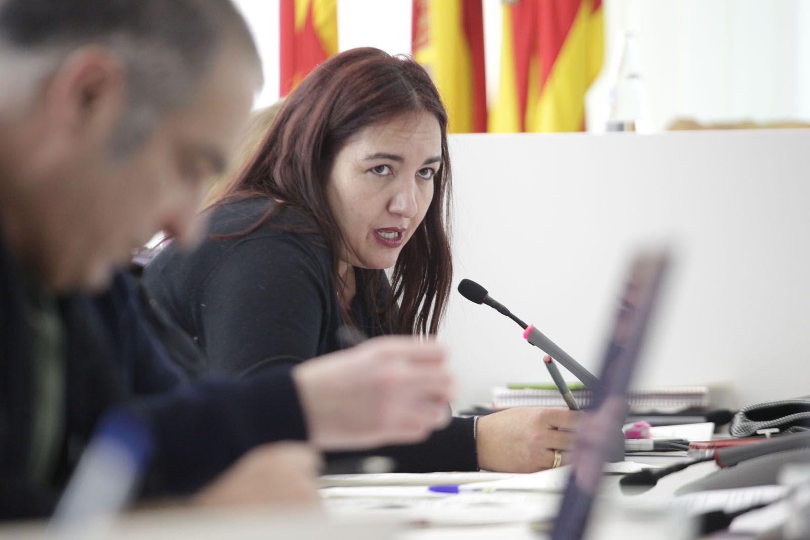 Pérez en un ple municipal quan era regidora FOTO: Artur Ribera