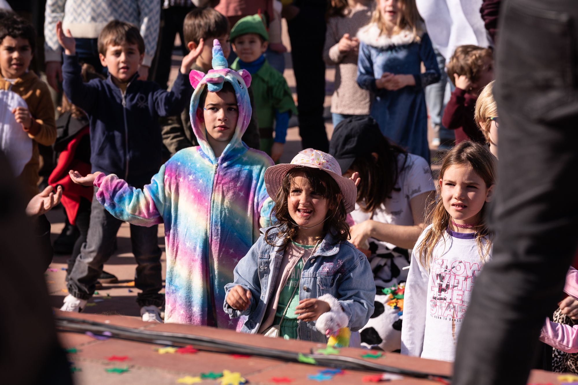 Carnaval a Valldoreix. Foto: Mireia Comas