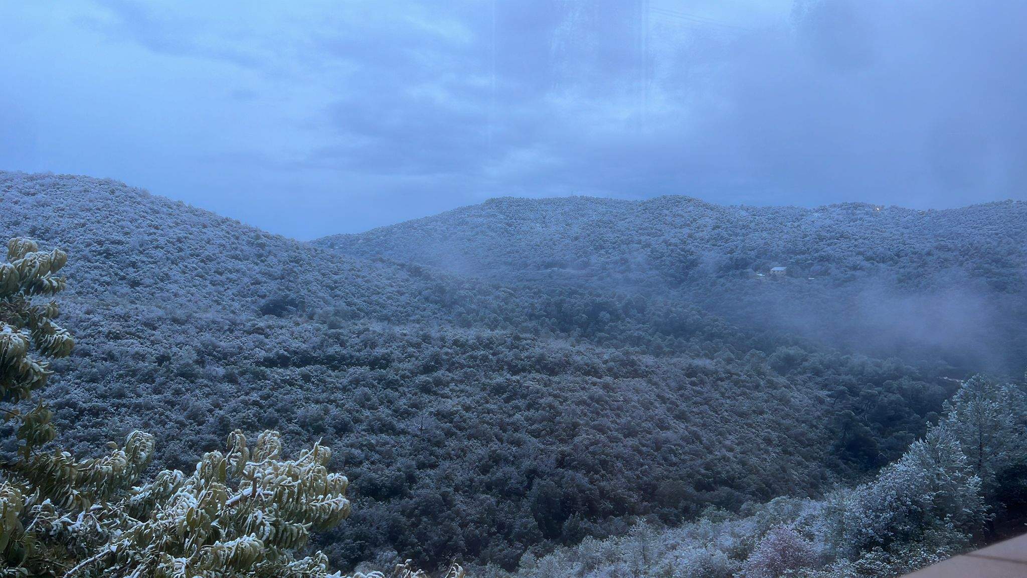 Nevada a Collserola. FOTO: Cedida