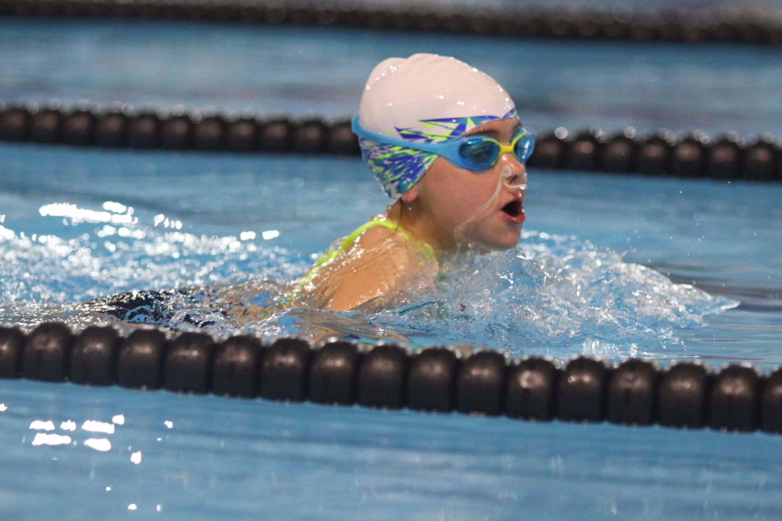 El Campionat de Natació Escolar és un dels clàssics dins del calendari de Sant Cugat. FOTO: Ajuntament