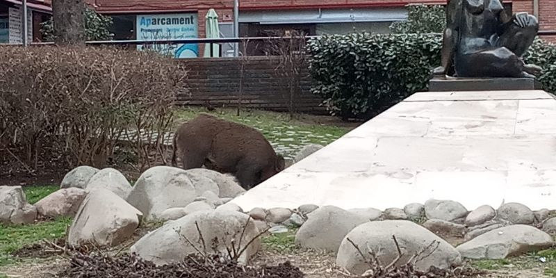 WhatsApp Image 2023 03 02 at 20.24.47