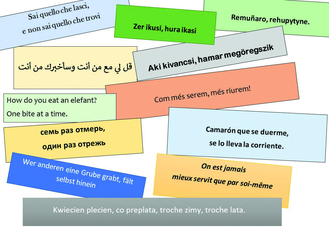 Dia Internacional de la Llengua Materna FOTO SLC
