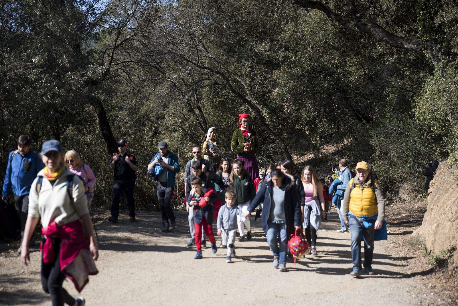 Els Geganters pujant el camí de Sant Medir. FOTO: Bernat Millet.