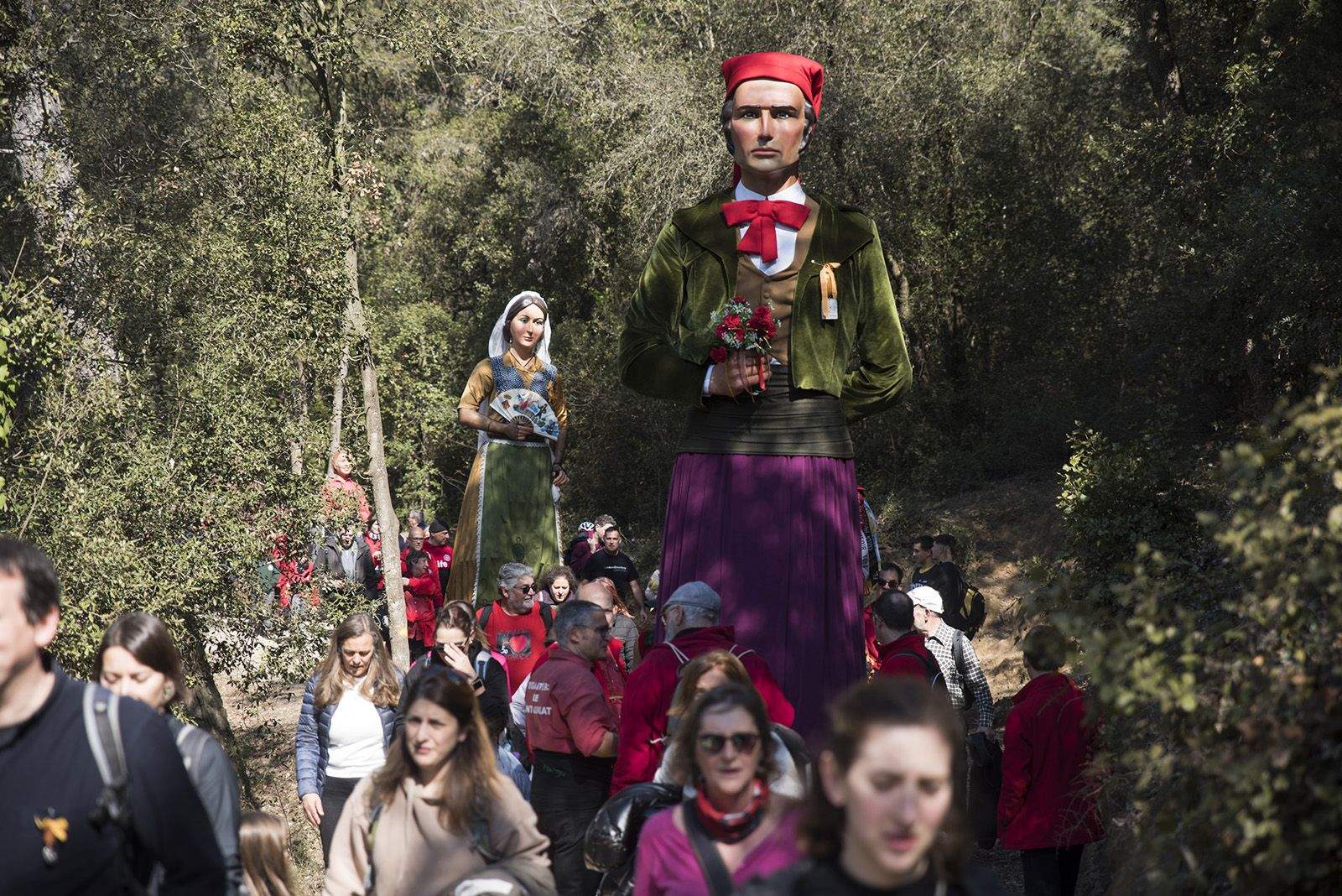 Els Geganters pujant el camí de Sant Medir. FOTO: Bernat Millet.