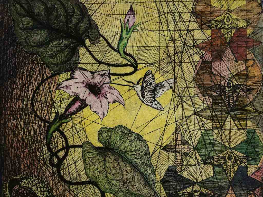 Foto de Monica Kopatschek, 'Datura inoxia', 2022