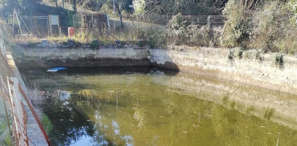 La bassa de Can Borrell, pràcticament buida. Foto: Can Borrell