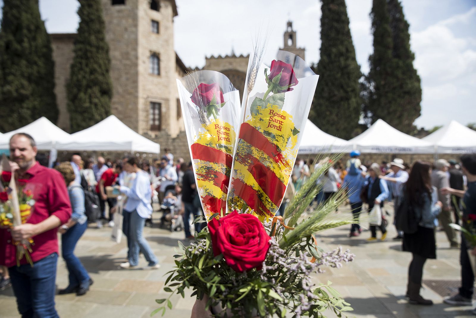 Sant Jordi a Sant Cugat. FOTO: Bernat Millet (TOT Sant Cugat)