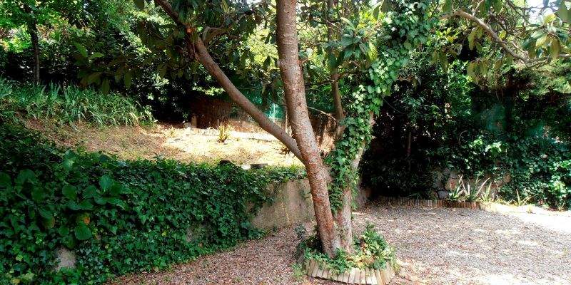 Solar a Valldoreix de la immobiliària Organ. FOTO: Cedida