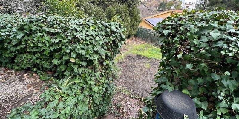 El solar en venda a Valldoreix. FOTO: Cedida