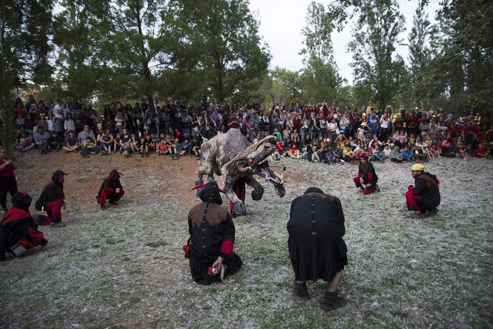 El despertar del Boc. FOTO: Bernat Millet.