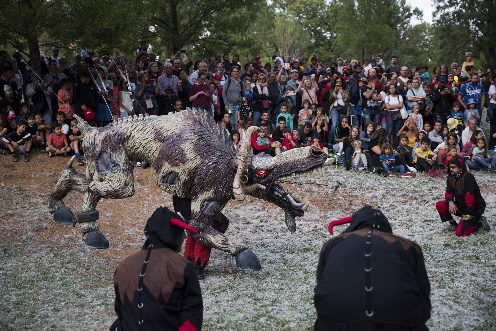 El despertar del Boc. FOTO: Bernat Millet.
