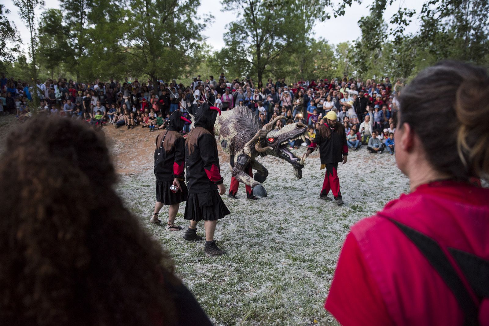 El despertar del Boc. FOTO: Bernat Millet.