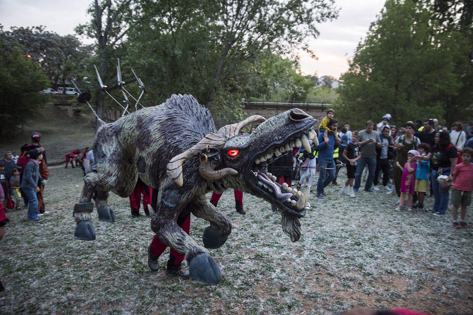 El despertar del Boc. FOTO: Bernat Millet.