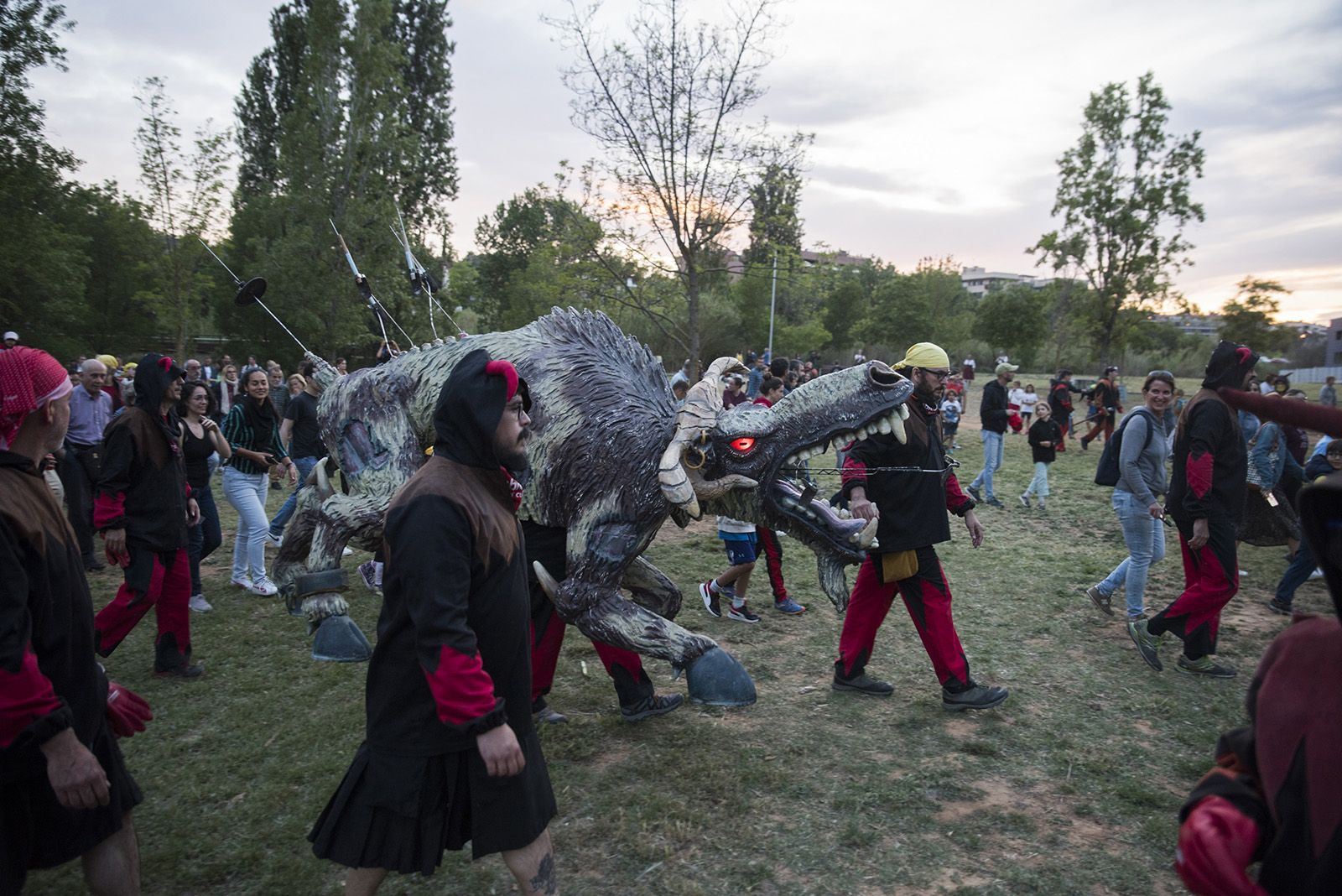 El despertar del Boc. FOTO: Bernat Millet.