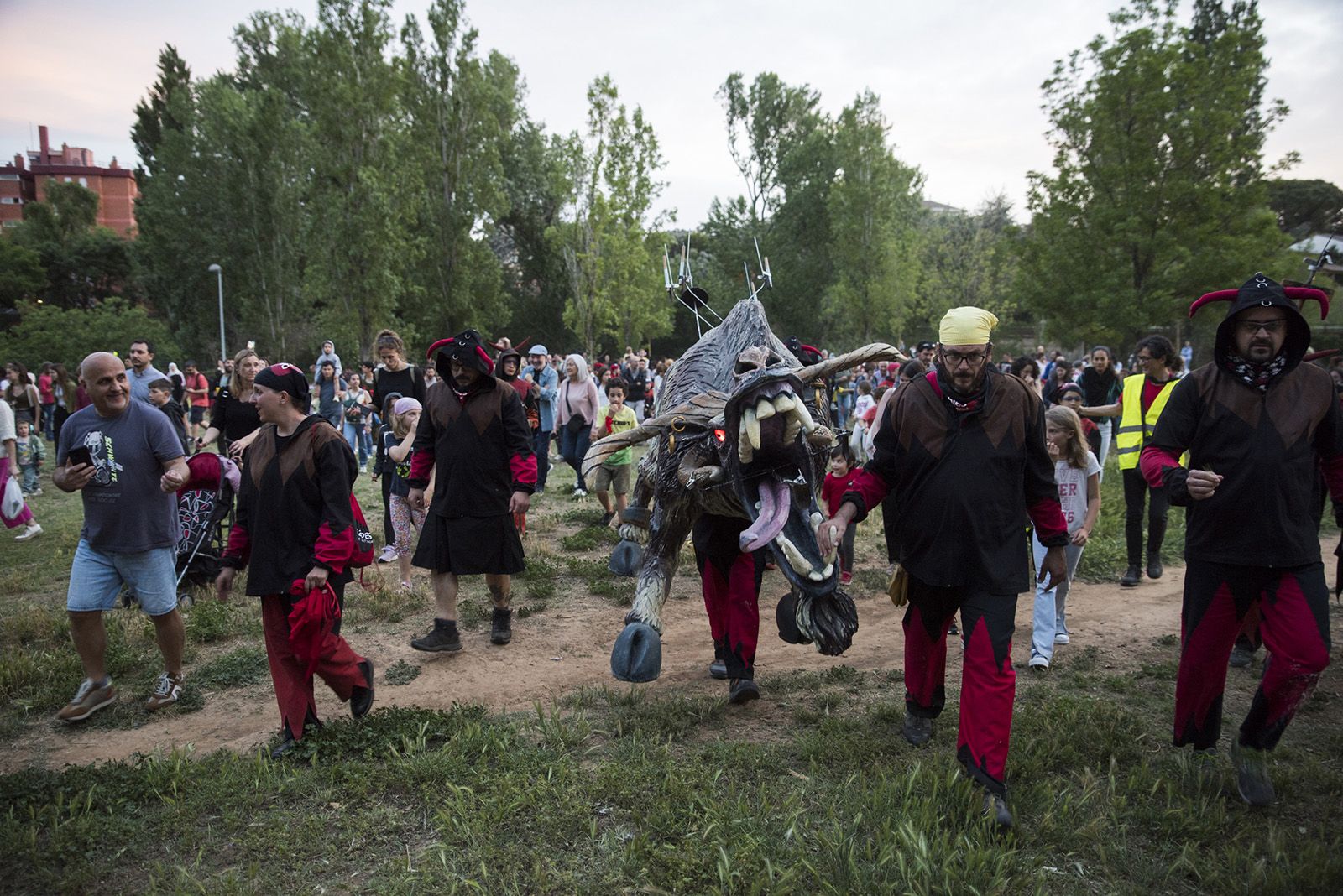 El despertar del Boc. FOTO: Bernat Millet.